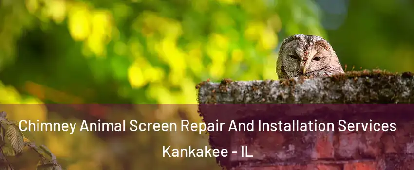  Chimney Animal Screen Repair And Installation Services Kankakee - IL