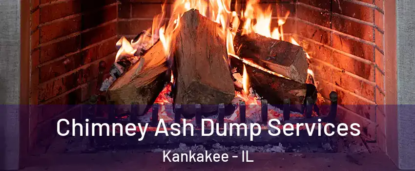  Chimney Ash Dump Services Kankakee - IL