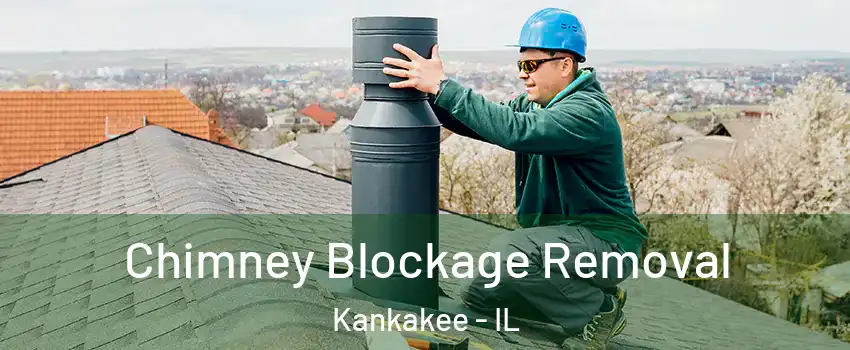 Chimney Blockage Removal Kankakee - IL