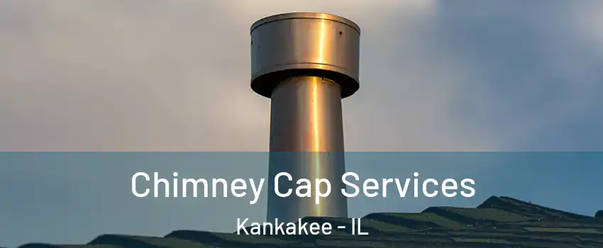  Chimney Cap Services Kankakee - IL