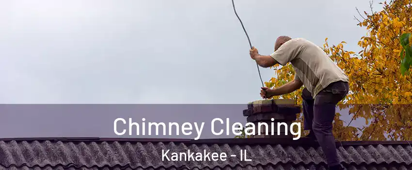  Chimney Cleaning Kankakee - IL