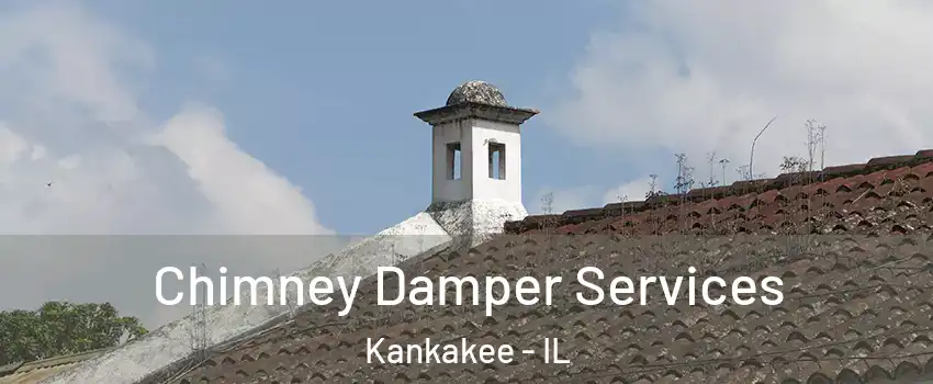  Chimney Damper Services Kankakee - IL