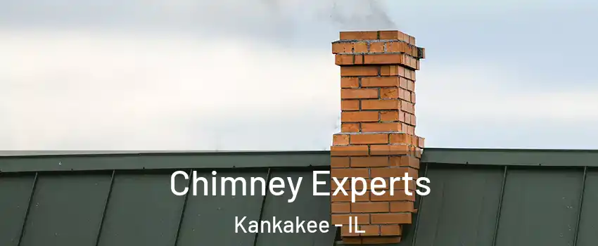  Chimney Experts Kankakee - IL