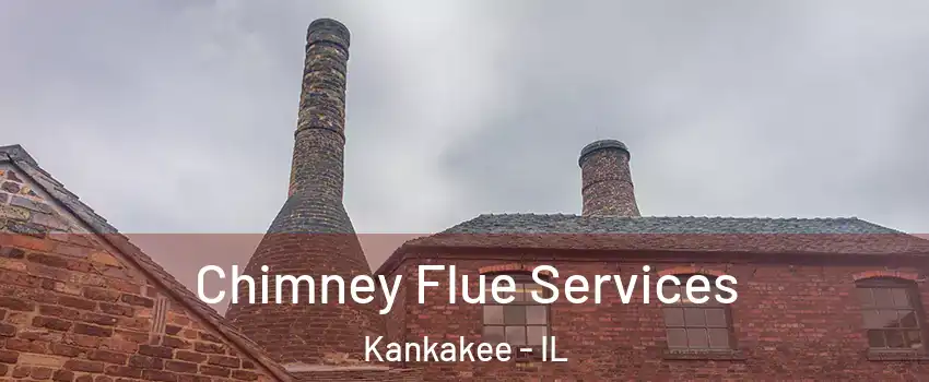 Chimney Flue Services Kankakee - IL