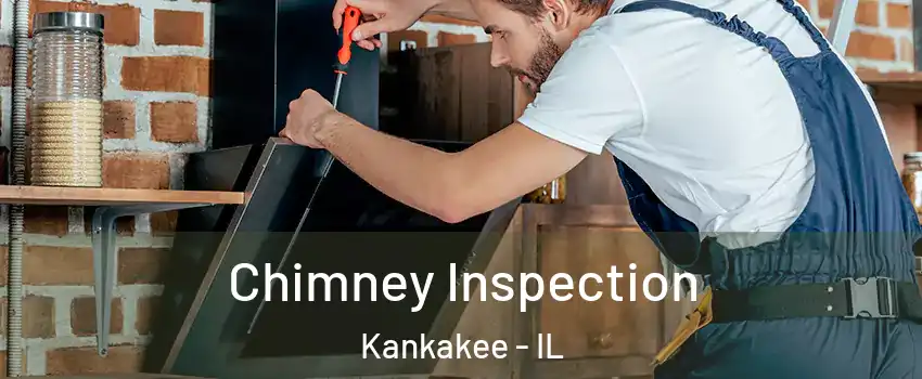  Chimney Inspection Kankakee - IL
