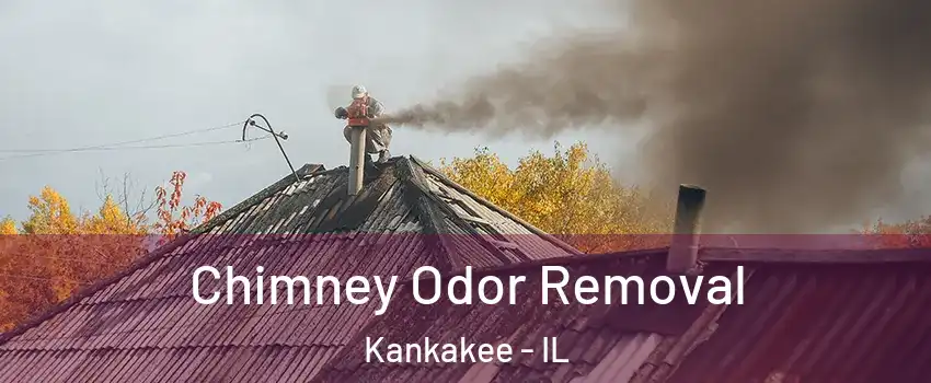  Chimney Odor Removal Kankakee - IL