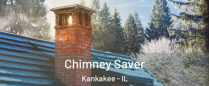  Chimney Saver Kankakee - IL