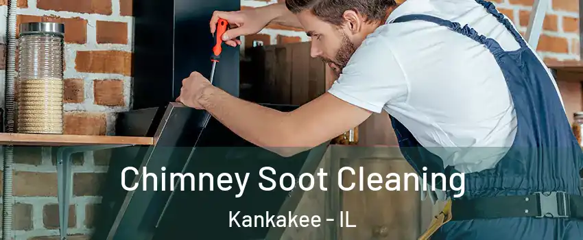  Chimney Soot Cleaning Kankakee - IL