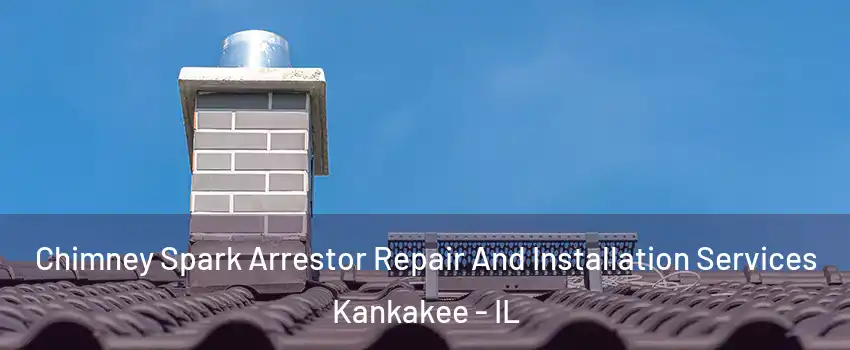 Chimney Spark Arrestor Repair And Installation Services Kankakee - IL