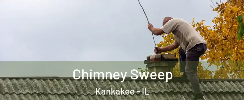  Chimney Sweep Kankakee - IL