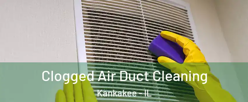  Clogged Air Duct Cleaning Kankakee - IL