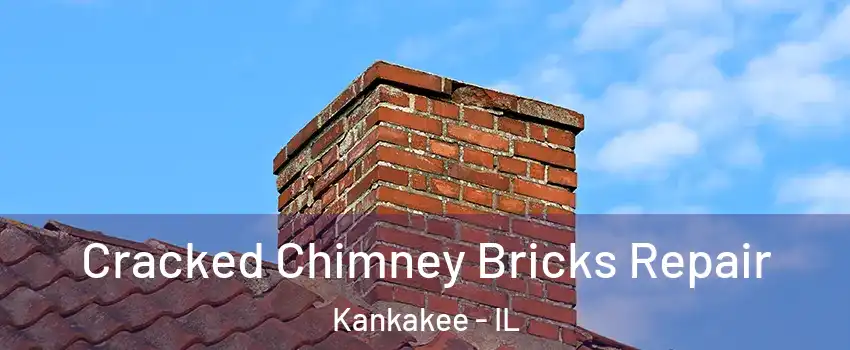  Cracked Chimney Bricks Repair Kankakee - IL