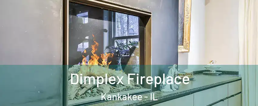  Dimplex Fireplace Kankakee - IL