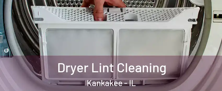  Dryer Lint Cleaning Kankakee - IL