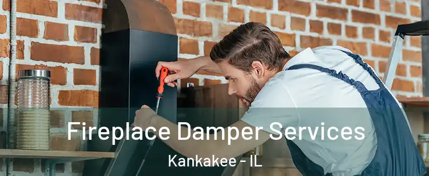  Fireplace Damper Services Kankakee - IL