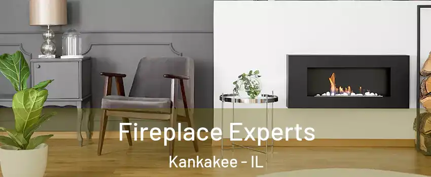  Fireplace Experts Kankakee - IL