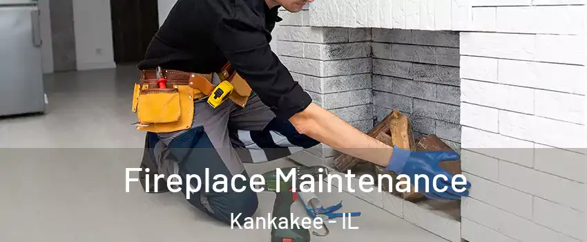  Fireplace Maintenance Kankakee - IL