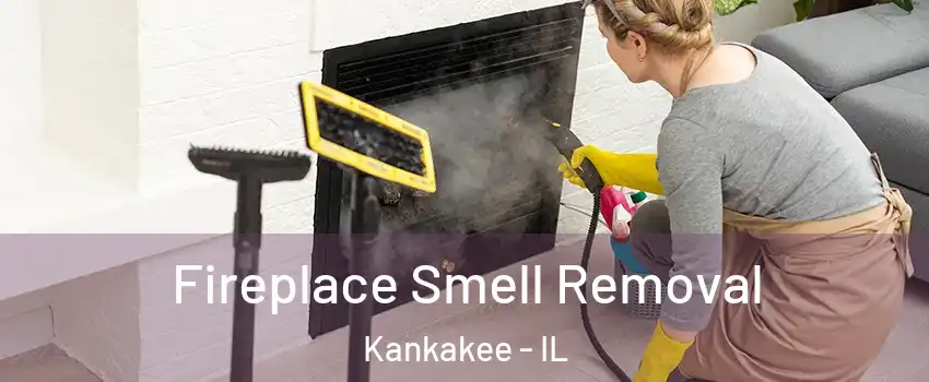  Fireplace Smell Removal Kankakee - IL