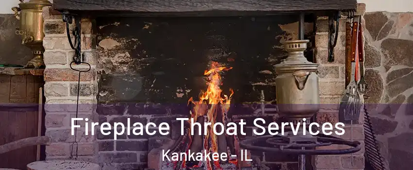  Fireplace Throat Services Kankakee - IL