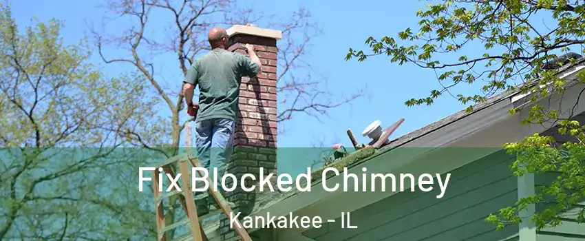  Fix Blocked Chimney Kankakee - IL