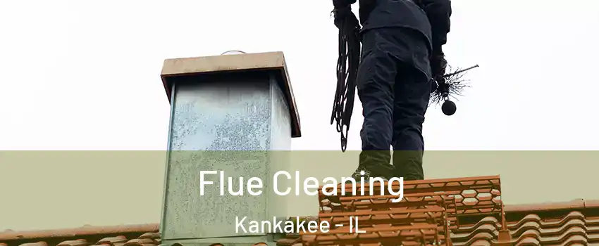  Flue Cleaning Kankakee - IL