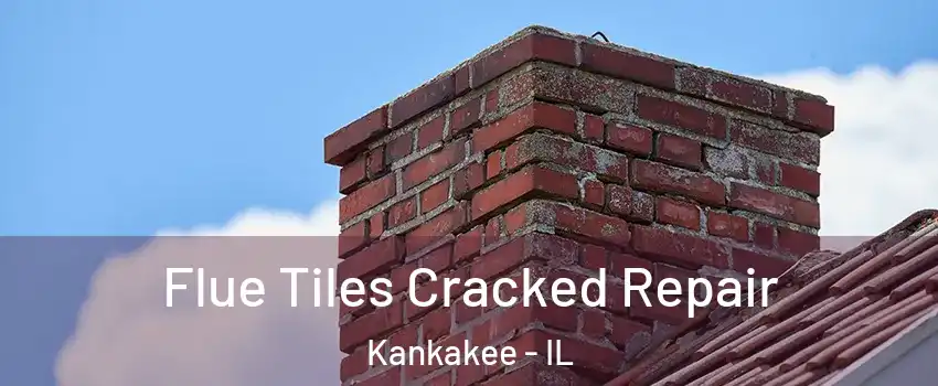  Flue Tiles Cracked Repair Kankakee - IL