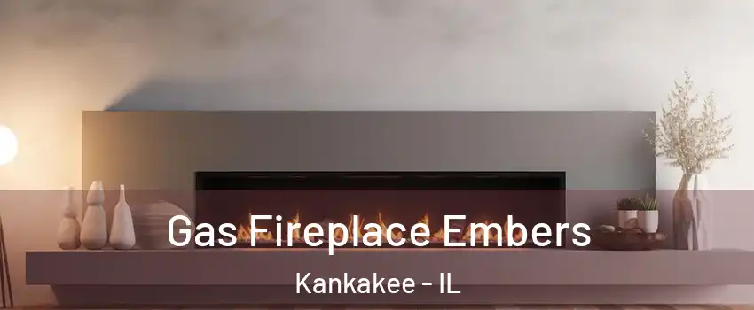  Gas Fireplace Embers Kankakee - IL