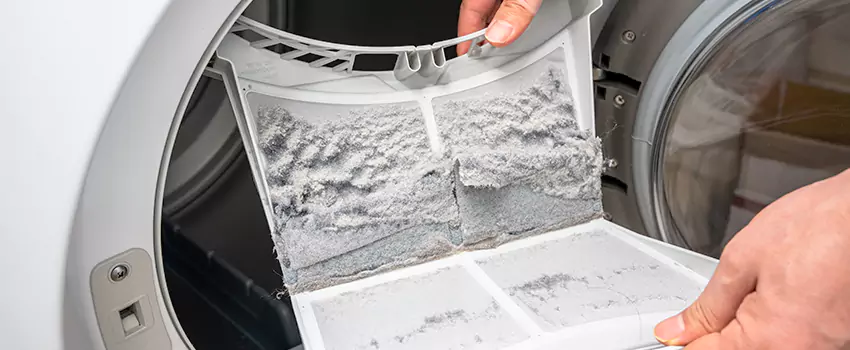 Best Dryer Lint Removal Company in Kankakee, Illinois