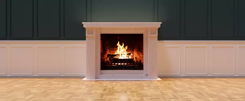 Napoleon Electric Fireplaces Inspection Service in Kankakee, Illinois