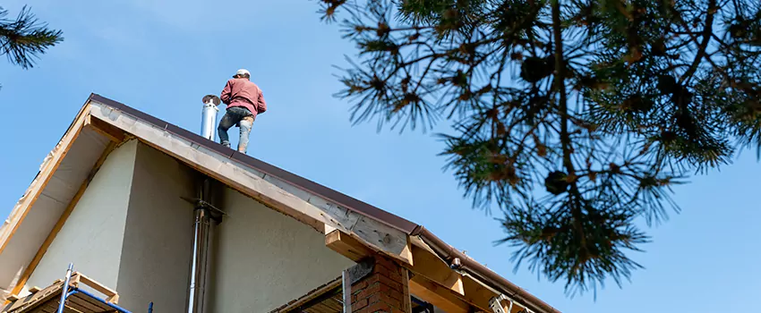 Birds Removal Contractors from Chimney in Kankakee, IL