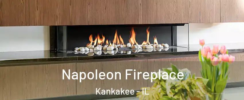  Napoleon Fireplace Kankakee - IL