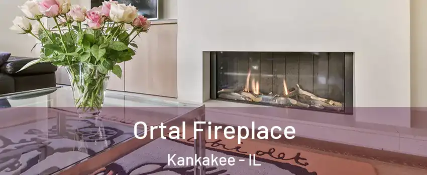  Ortal Fireplace Kankakee - IL